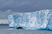 Tafeleisberge im und um das Weddellmeer während der Sommermonate, Antarktis, Südlicher Ozean, Polargebiete