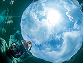 Schnorchler mit Mondqualle (Aurelia sp), im Jellyfish Lake, auf der Insel Eil Malk, Rock Islands, Palau, Mikronesien, Pazifik