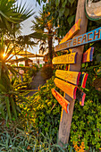 View of signpost in old harbour in Thassos Town during golden hour, Thassos, Aegean Sea, Greek Islands, Greece, Europe