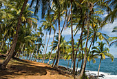 Chemin de la Pointe des Cayes, Ile Royale, Iles du Salut, French Guiana, Overseas department and region of France, French Guiana, South America