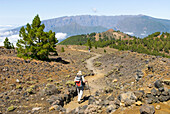 Die Vulkanroute, La Palma, Kanarische Inseln, Spanien, Atlantischer Ozean, Europa