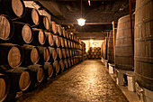 Port Cellars at Porto Ferreira, Porto, Norte, Portugal, Europe