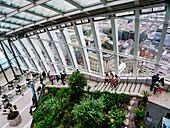 Sky Garden, interior, City of London, London, England, United Kingdom, Europe