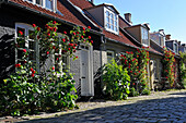 Mollestien Lane, picturesque cobbled street in the centre of Aarhus, Jutland Peninsula, Denmark, Europe