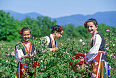 Traditionell gekleidete junge Mädchen in einem Rosengarten während des Rosenfestes im Rosental, Kazanlak, Bulgarien, Europa