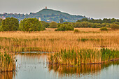 Glastonbury Tor mit Blick auf die Sümpfe des Ham Wall National Nature Reserve, eines der Avalon Marshes Naturschutzgebiete, in der Nähe von Glastonbury, Somerset, England, Vereinigtes Königreich, Europa