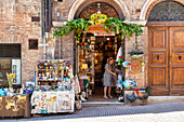 Typical souvenir shop, Old Town, Urbino, Marche, Italy, Europe