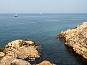 Swimming in the sea, Rovinj, Istria, Croatia, Europe