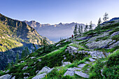 Beautiful idyllic hiking trail in the early morning sun light with mountain chain in the background, Monte Rosa, Piedmont, Italian Alps, Italy, Europe