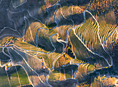 Aerial view of vineyards around Pinhao at sunset, Douro, Valenca do Douro, Viseu District, Portugal, Europe