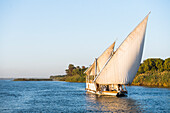 Dahabeah under sail, passenger river boat of the Lazuli fleet, sailing on the Nile river near Aswan, Egypt, North Africa, Africa