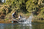 Net fishermen in rowing boat practising a technique of hitting the surface of the water to drive fish into the nets, village of Ramadi, west bank of the Nile south of Edfu, Egypt, North Africa, Africa