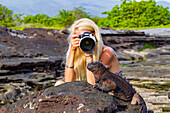 Der endemische Galapagos-Meeresleguan (Amblyrhynchus cristatus) im Galapagos-Inselarchipel, UNESCO-Weltnaturerbe, Ecuador, Südamerika