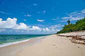 Playa Las Tumbas, Cabo San Antonio, Halbinsel Guanahacabibes, Nationalpark und Biosphärenreservat, Provinz Pinar del Rio, Kuba, Westindische Inseln, Mittelamerika