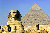 Great Sphinx and Pyramid of Khafre, Giza, UNESCO World Heritage Site, Cairo, Egypt, North Africa, Africa