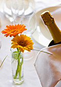 Close up of a vase with flowers and champagne bottle on a restaurant table