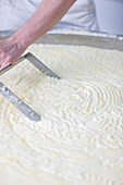 Close up of a man's hand cutting the curd