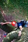 Man climbing a tree - high angle