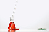 Erlenmeyer flask with Red Solution, Pipette and Petri Dishes