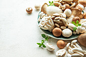 Assortment of various raw mushrooms on a grey concrete background