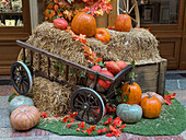 Colorful autumn harvest display with pumpkins and hay