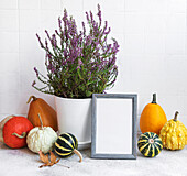 Picture frame and pumpkin decor on the table over white tile bac