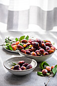 Freshly harvested plums in bowls with natural backlight