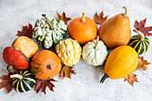 Herbst Komposition, gemütliche Herbstzeit, Kürbisse und Blätter auf c