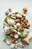 Assortment of different raw mushrooms on a grey concrete background