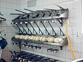 Fresh Mahon-Menorca cheese in production at dairy