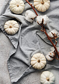 White decorative pumpkins