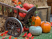 Autumn harvest scene with pumpkins and Halloween decor