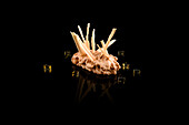 Artistic depiction of an Asian dish with crackers and dip