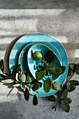 Top view of feijoa fruit on aqua plates with leaves