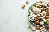 Assortment of different raw mushrooms on a grey concrete background
