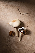 Various fresh mushrooms on a textured background