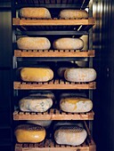 Traditional Mahon Menorca cheeses on wooden shelves