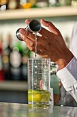 Bartender prepares a fresh mojito in a sunny bar