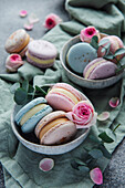 Beautiful colourful delicious macaroons on a concrete background