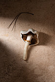 Single mushroom with shadow on textured background