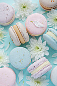 Beautiful colourful delicious macaroons on blue background