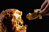 Anonymous hand tearing off a piece of rich, fruit-filled panettone