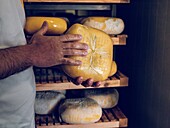 Artisanal cheesemaker handling wheels of Mahon-Menorca cheese