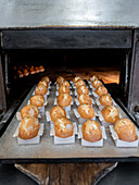 Golden, delicious baked muffins in an industrial bakery oven