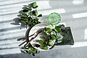 Elegantly styled table setting with feijoas and green glassware