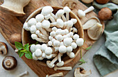Assortment of different raw mushrooms on a grey concrete background