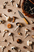 Various fresh mushrooms with a knife on a rustic background