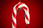 Candy cane drenched in syrup against a vibrant red backdrop