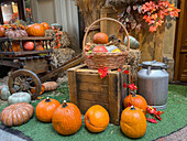 Autumn harvest scene with pumpkins and Halloween decorations