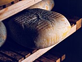 Aged Mahon-Menorca cheese on wooden shelves in dim light